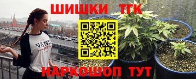 таблы Сланцы
