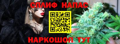 молекула духа Славянск-на-Кубани