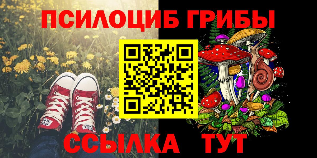Самара  Галлюциногенные грибы Cubensis  Вход с VPN 